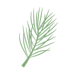 Picto Site Web Escaffre